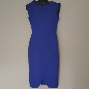 NWT! Banana Republic Sloan Fit Blue Dress SZ 2